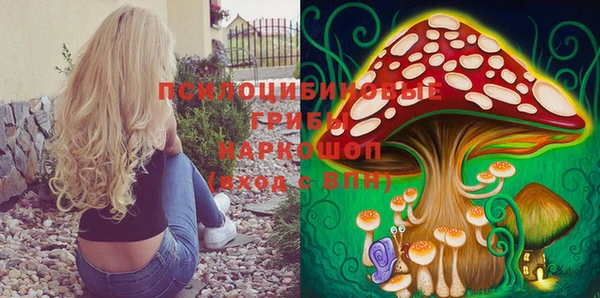 a pvp Богородск