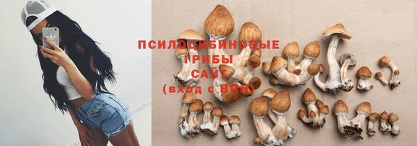 метадон Белокуриха