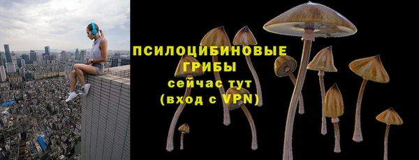 a pvp Богородск