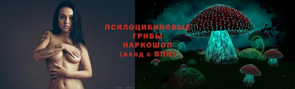 a pvp Богородск