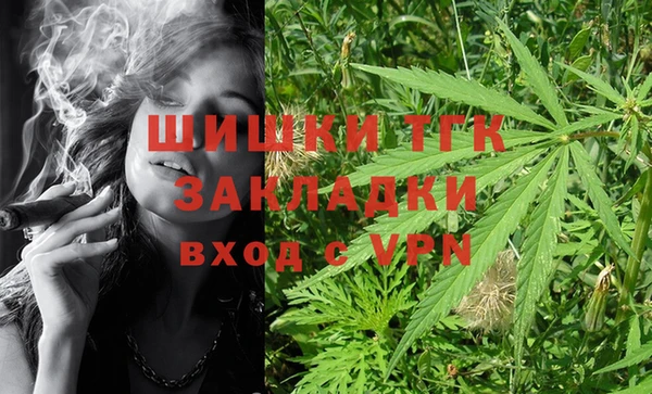 гашиш Богданович