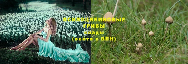 ALPHA PVP Беломорск