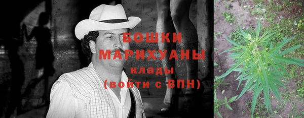 метадон Белокуриха